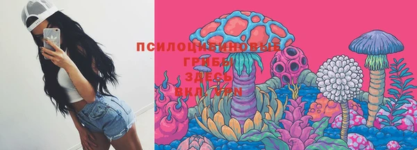 мяу мяу мука Абаза