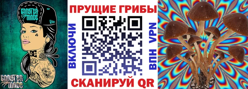 гидра tor  купить закладку  Ковдор  Галлюциногенные грибы MAGIC MUSHROOMS 